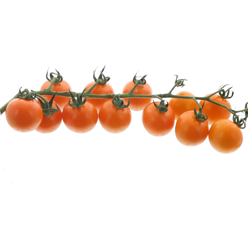 TOMATE CERISE GRAPPE ORANGE 5KG